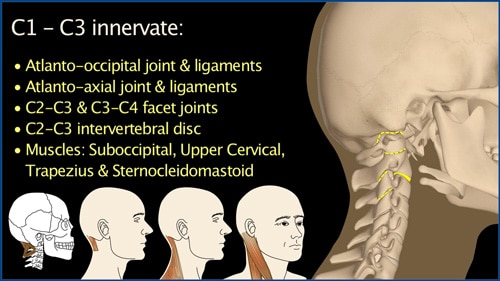 Unit 6 - Cervicogenic Headache@Informal-Headache-45H-U6-2023 ...